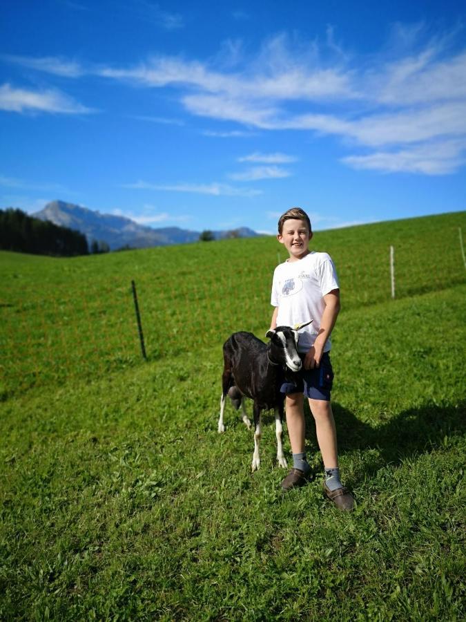 Hochmuthhof Lägenhet Reith im Alpbachtal Exteriör bild