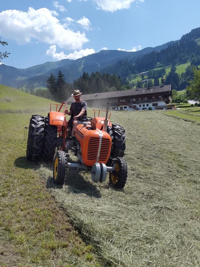 Hochmuthhof Lägenhet Reith im Alpbachtal Exteriör bild