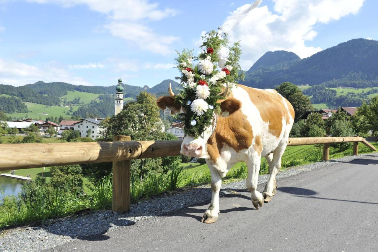 Hochmuthhof Lägenhet Reith im Alpbachtal Exteriör bild